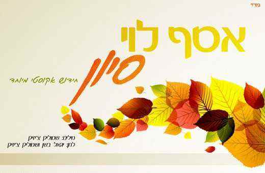 אסף לוי – סיון