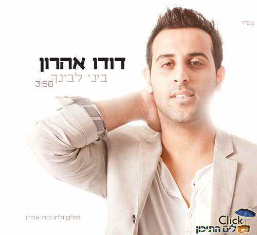 דודו אהרון – ביני לבינך