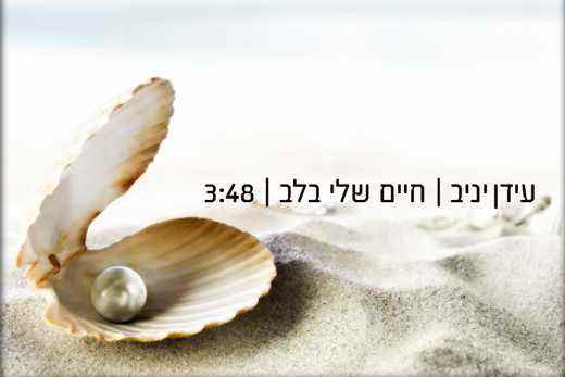Read more about the article עידן יניב – חיים שלי בלב