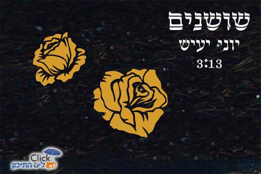 יוני יעיש – שושנים